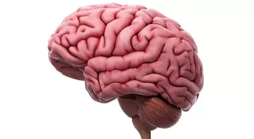 أسباب ضمور المخ عند الأطفال