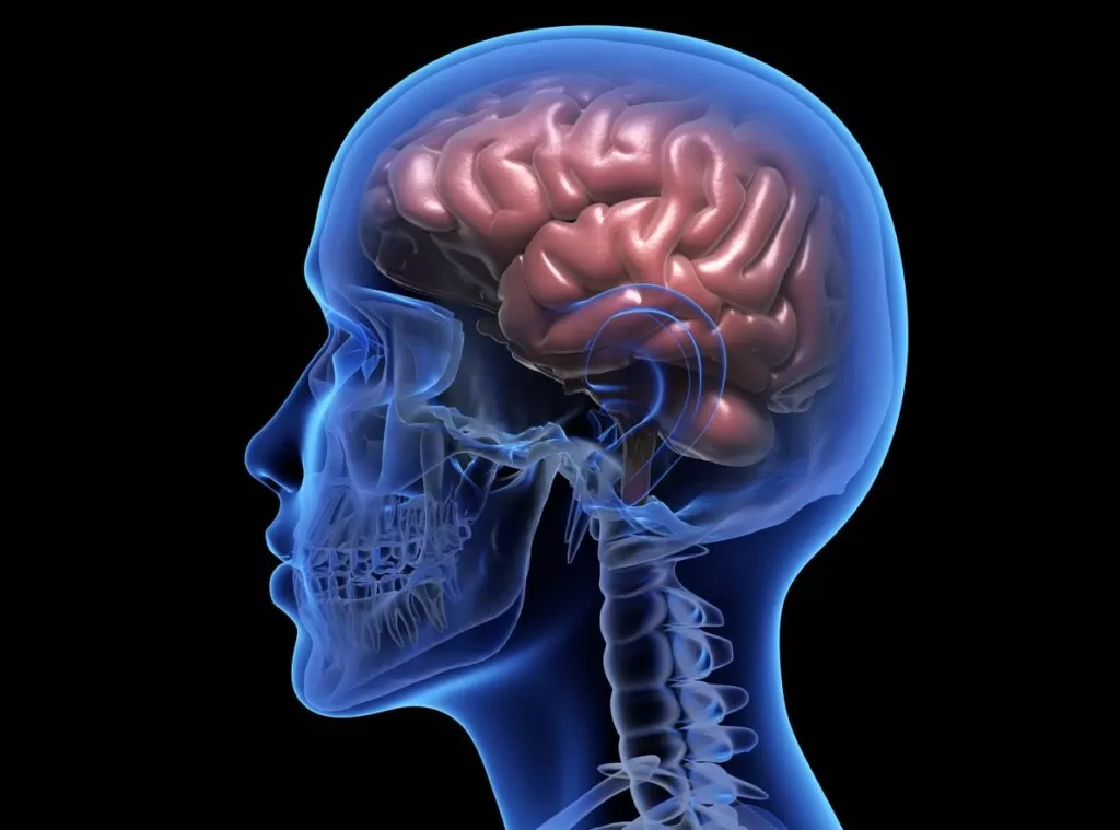نسبة نجاح العمليات المتعلقة بورم الدماغ