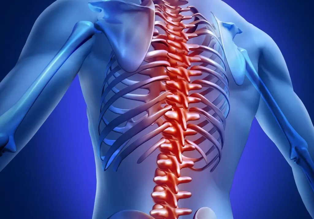 الفرق بين خشونة الفقرات والانزلاق: العلاج