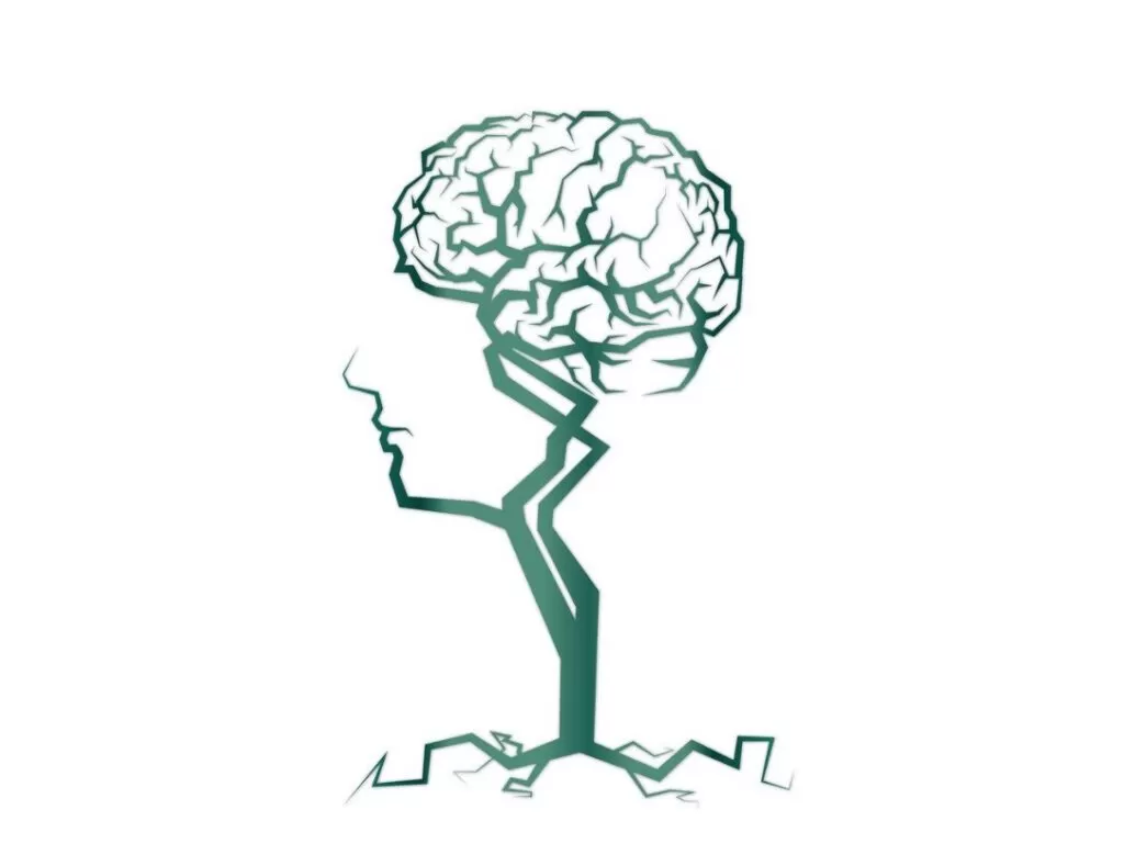 أنواع رسم المخ