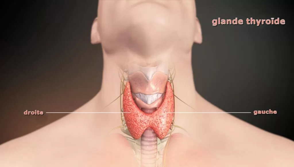 أسباب الغدة النخامية عند الرجال