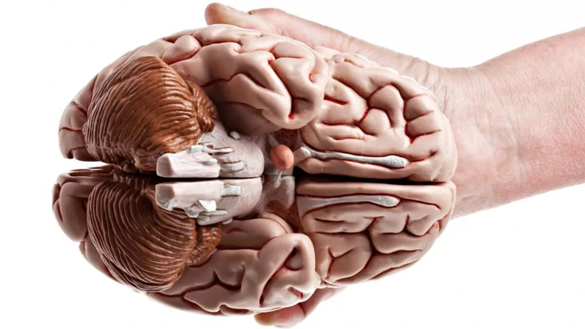 هرمون النمو