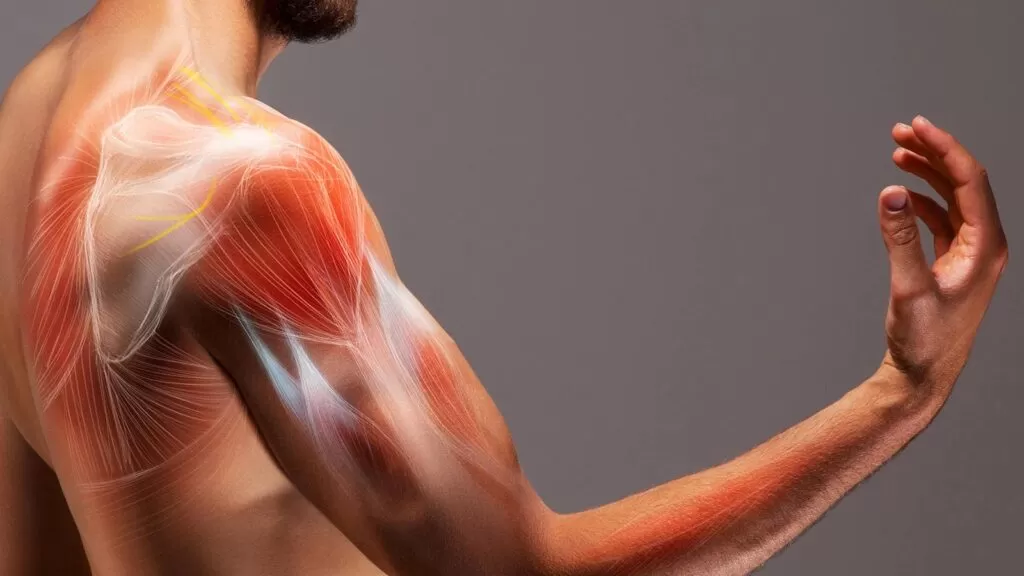 أسباب آلام الكتف