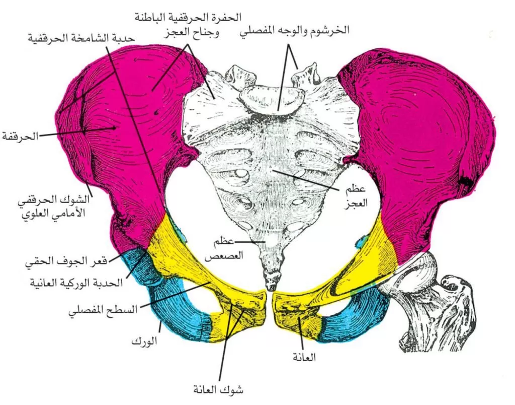 أعراض سرطان المفصل العجزي الحرقفي
