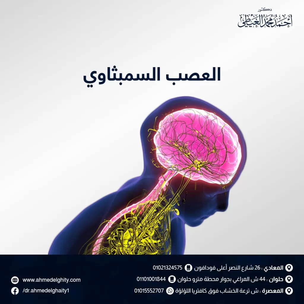 العصب السمبثاوي الوظائف والأعراض وطرق العلاج