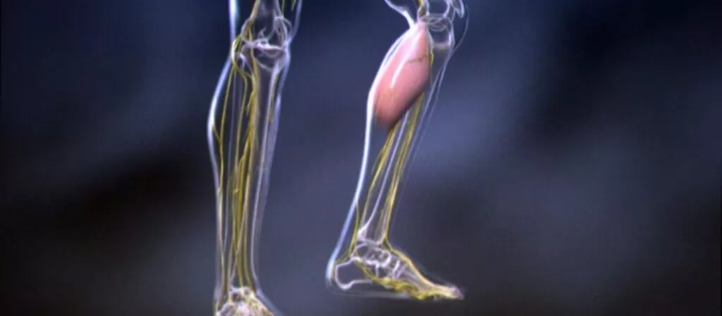 5. تسمم الكحوليات أو الانسحاب منها