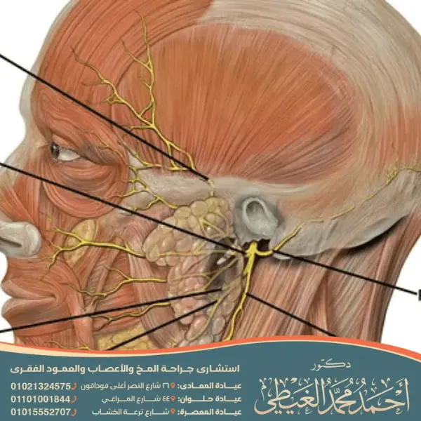 أفضل دكتور لعلاج العصب الخامس