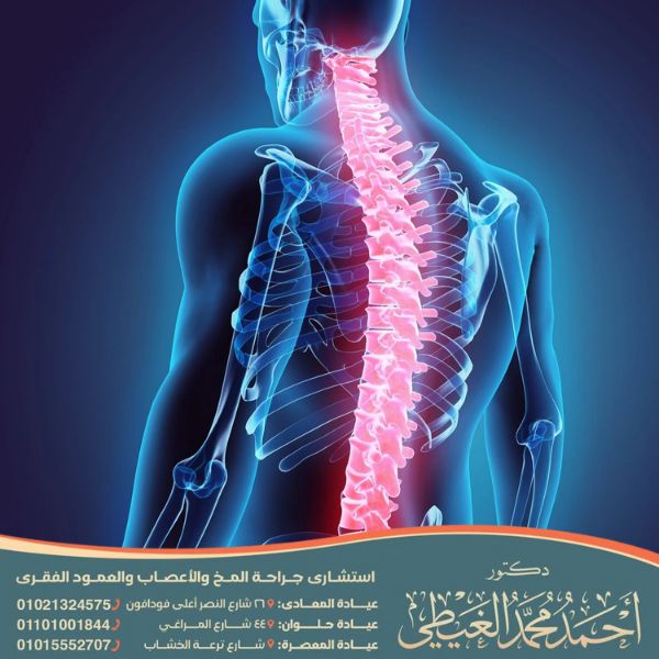 ما هو النخاع الشوكي